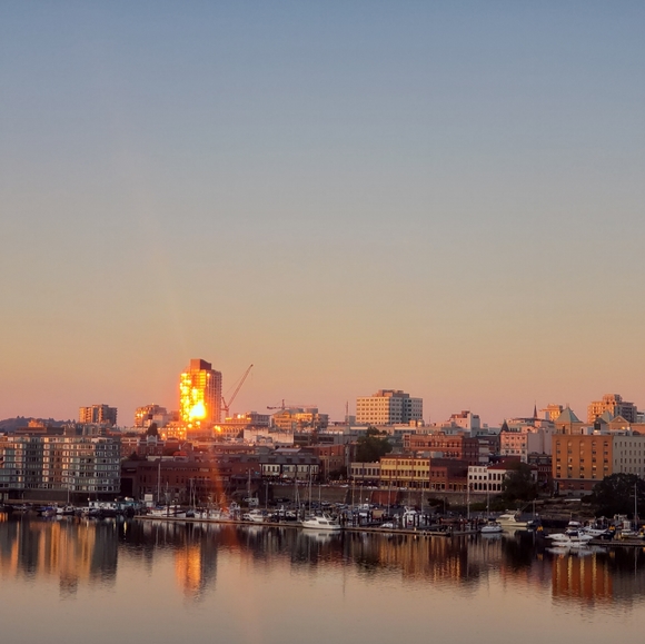 Meet your Posher, Patricia. - Picture 2 of 2